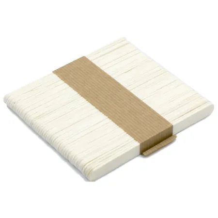 ESPÁTULA FACIAL DESECHABLE 100 UDS. - PLASTICAPS
