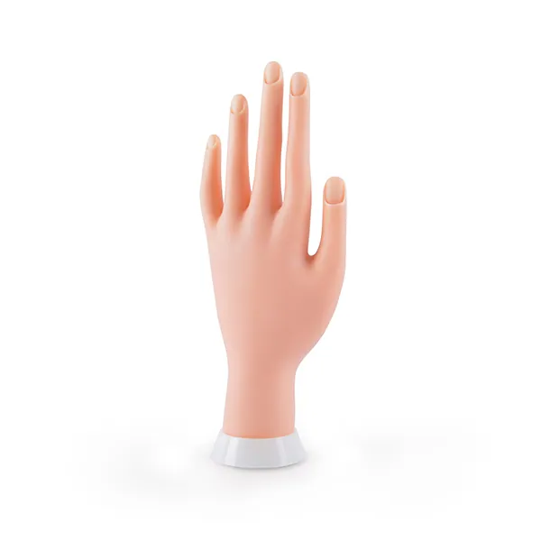 MANO FLEXIBLE PARA PRACTICAS - BIFULL